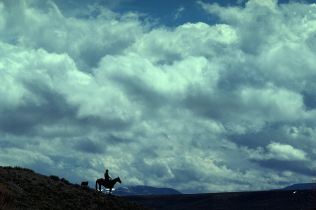 rider against a big sky