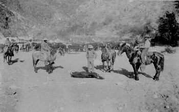 photo of cowboys at a roundup