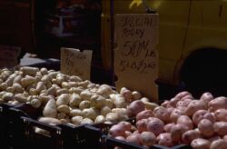 Potatoes