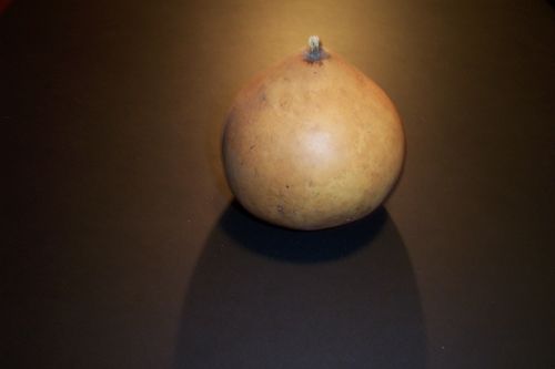 gourd used to make a mate
