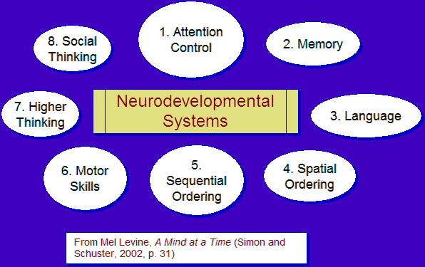 Chart of the Neurodevelopmental Systems