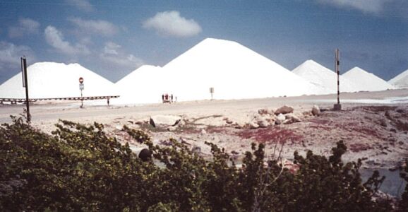 Salt Mounds on Bonaire's south coast